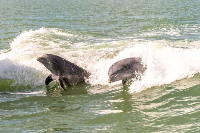 10000 Islands Everglades Boat Tour - Getting there in Naples and how the day actually flows