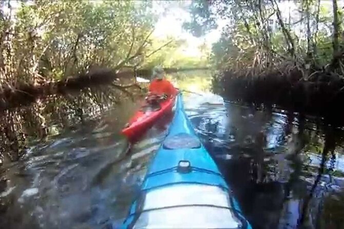 10000 Islands Everglades Boat Tour - Optional kayak and canoe rentals: who this is for