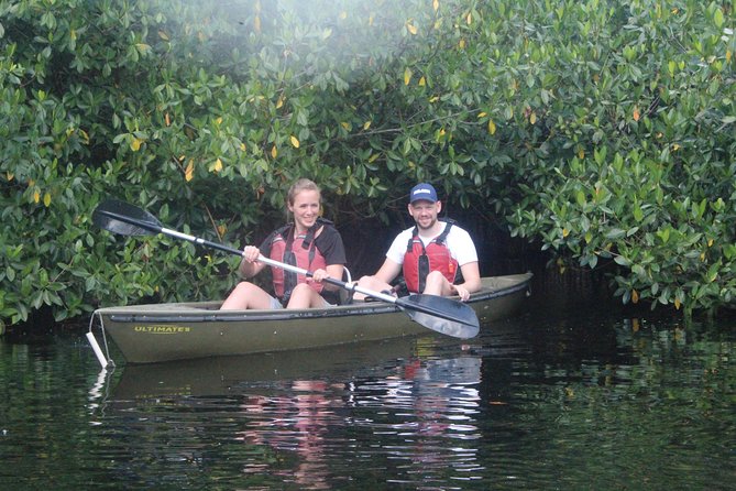 3 Hour Guided Mangrove Tunnel Kayak Eco Tour - Mangrove Tunnels in the Everglades City: What Makes This Trip Worth It