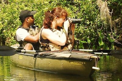 3 Hour Guided Mangrove Tunnel Kayak Eco Tour - The 3-Hour Paddle Flow: From Lesson to Canopy Creeks
