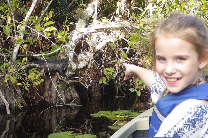 3 Hour Guided Mangrove Tunnel Kayak Eco Tour - Beginner Kayaker Comfort: What to Expect Physically