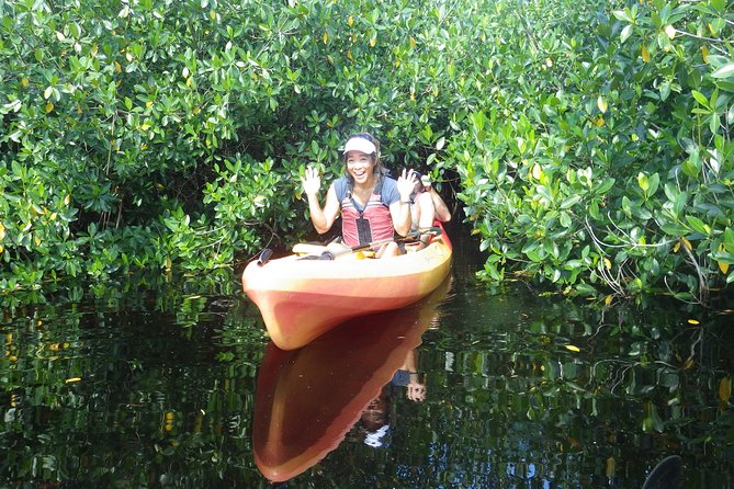 3 Hour Guided Mangrove Tunnel Kayak Eco Tour - Sun, Heat, and Photo Opportunities Under the Mangrove Canopy