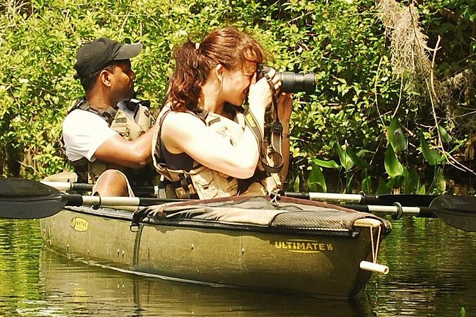 3 Hour Guided Mangrove Tunnel Kayak Eco Tour - The 3-Hour Paddle Flow: From Lesson to Canopy Creeks