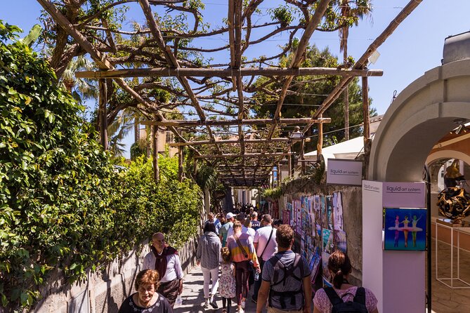 Amalfi, Positano and Ravello: Boat Tour from Naples - The cruise portion: Sorrento and Punta Campanella sights you’ll actually recognize