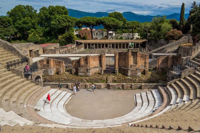 Ancient Pompeii Private Tour: Skip the Line & Kid-Friendly Option - Why a skip-the-line private guide changes Pompeii