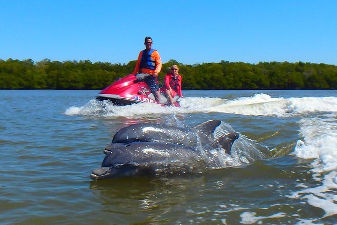 Avi's Premium Dolphin Tour by Jet Ski - From Goodland Boat Park to Marco Island Waters