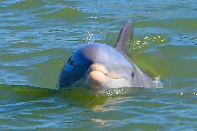 Avi's Premium Dolphin Tour by Jet Ski - Getting Comfortable: Windbreakers, Water, and Midday Riding