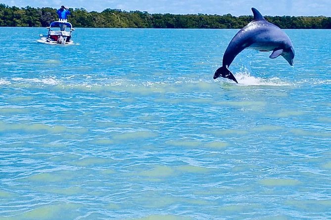 Backwater Adventure's CraigCat Tours of the 10,000 Islands - Price and Value: Why $135 Can Feel Like a Steal