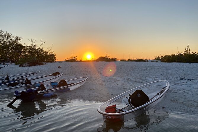 Clear Kayak Guided Eco Tour in North Naples - Key things to know before you go