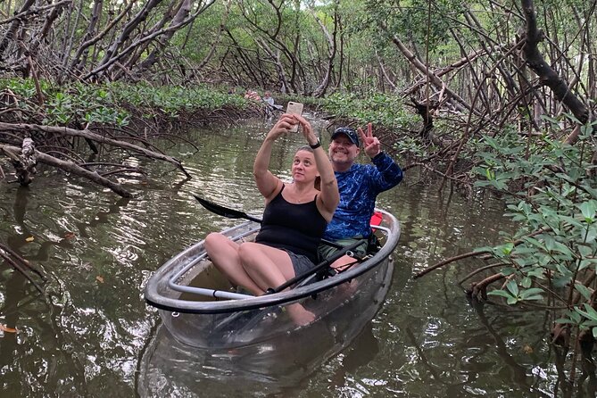 Clear Kayak Guided Eco Tour in North Naples - North Naples, mangroves, and why a clear kayak tour feels special