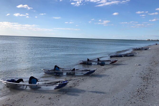 Clear Kayak Guided Eco Tour in North Naples - The beach stop: shells, views, and a needed break