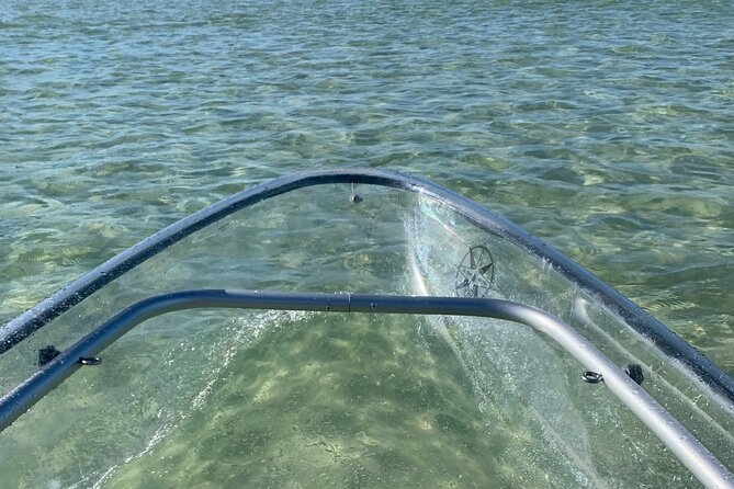 Clear Kayak Guided Eco Tour in North Naples - Guides, pacing, and the photo advantage