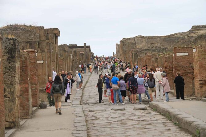 Day Trip of Pompeii, Sorrento and Positano from Naples/Salerno - Naples to Pompeii in one day: the value in tight routing