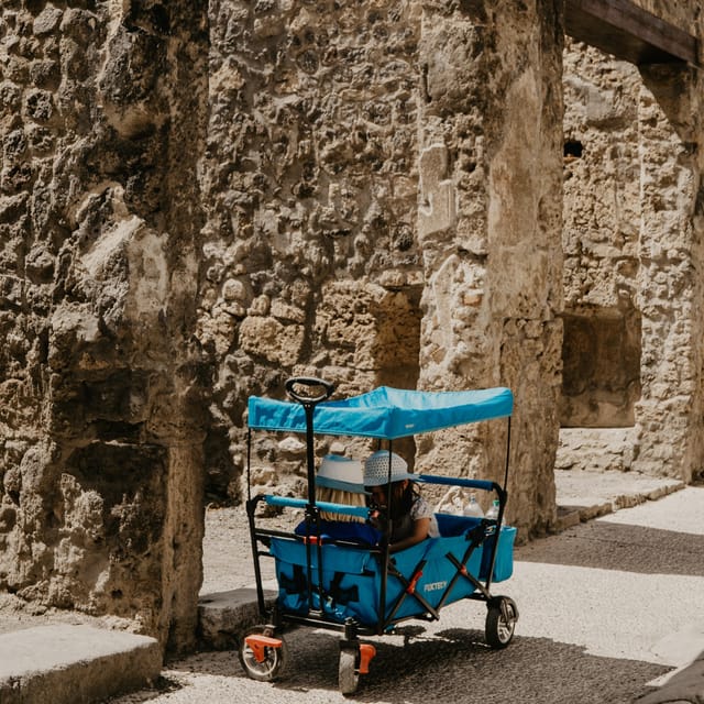 Discover Pompeii: French Walking Tour of the Buried City - The value of skip-the-line at Pompeii (and what it does for your day)