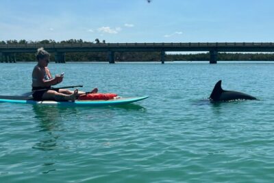 Dolphin and Manatee Adventure Tour of Naples with Florida History - Kayak or paddleboard with a real lesson first