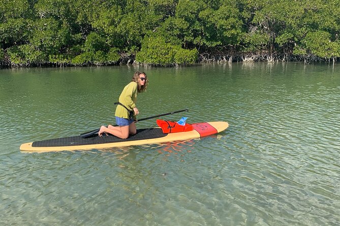 Dolphin and Manatee Adventure Tour of Naples with Florida History - The dolphin and manatee sightings: how to set realistic expectations