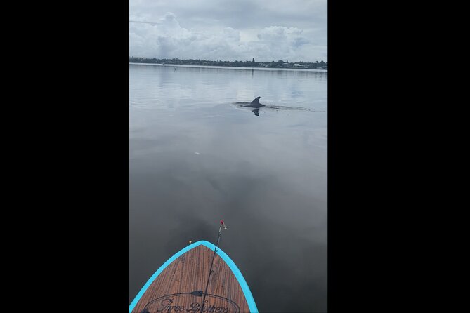 Dolphin and Manatee Adventure Tour of Naples with Florida History - Who should book this Naples paddling adventure?