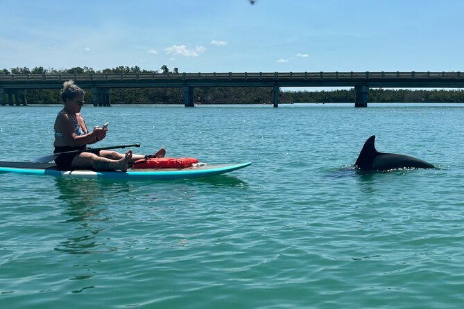 Dolphin and Manatee Adventure Tour of Naples with Florida History - Kayak or paddleboard with a real lesson first