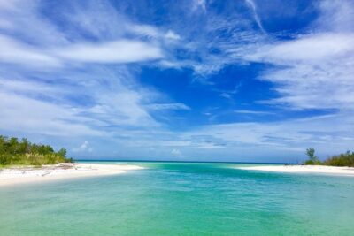 Dolphin and Shelling Cruise for up to 12 people - Ten Thousand Islands cruise: mangroves, sandbars, and the wildlife hunt