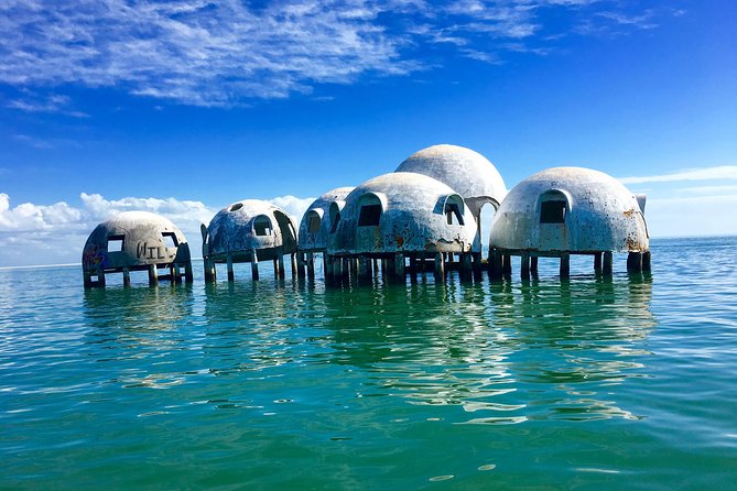 Dolphin and Shelling Cruise for up to 12 people - What the guide team actually adds to your day