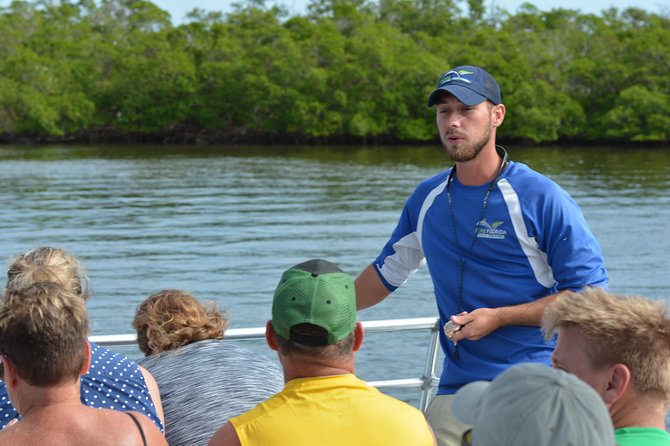 Dolphin Watch Eco Shelling Cruise to Keewaydin Island - Wildlife odds: what you can see in Naples Bay and what varies