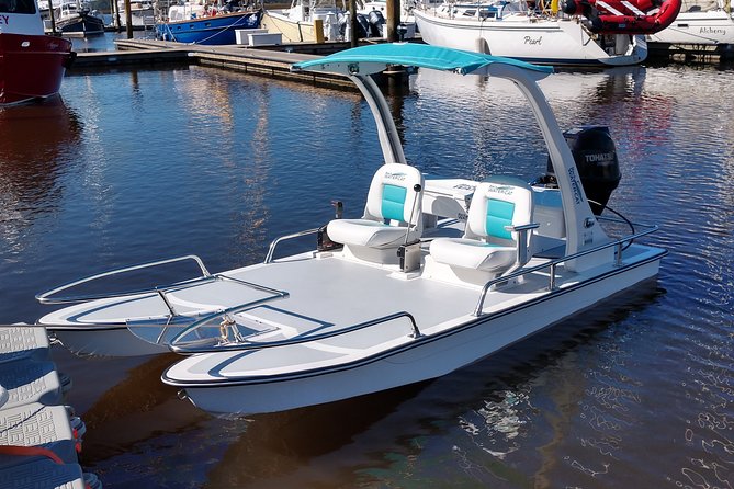 Drive your Own 2 Seat Fun Go Cat Boat on Marco Island - Wildlife spotting: what you’re actually looking for