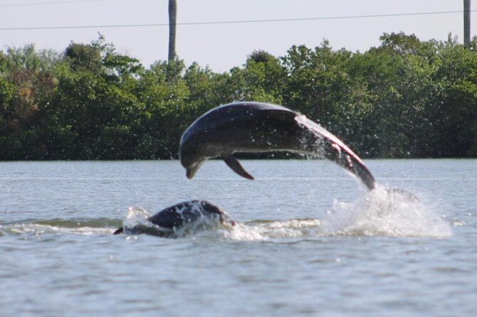 Easy Ride Pedal Kayak Tour Marco Island & Naples (Pedal or Paddle - How the Tour Feels on the Water (Not Just a Kayak Rental)