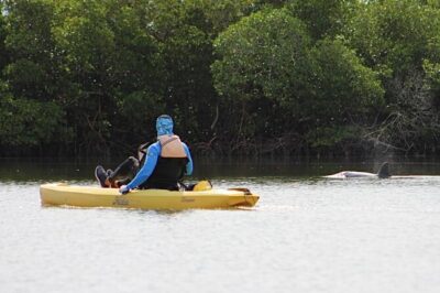 Easy Ride Pedal Kayak Tour Marco Island & Naples (Pedal or Paddle - Hobie Pedal vs. Paddle Kayak: Why Pedaling Changes the Whole Trip