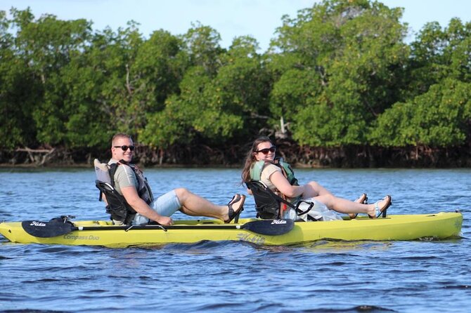Easy Ride Pedal Kayak Tour Marco Island & Naples (Pedal or Paddle - Wildlife Chances: Dolphins, Manatees, Birds, and Shell Life