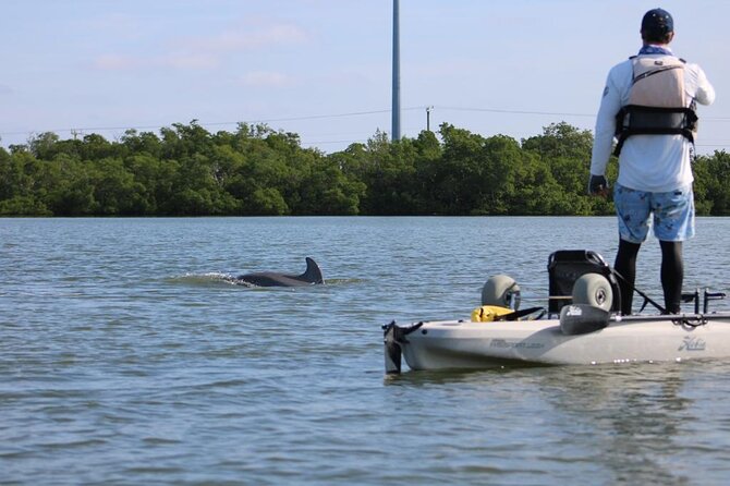 Easy Ride Pedal Kayak Tour Marco Island & Naples (Pedal or Paddle - Who This Tour Suits Best