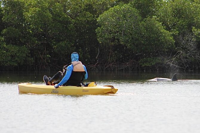 Easy Ride Pedal Kayak Tour Marco Island & Naples (Pedal or Paddle - Hobie Pedal vs. Paddle Kayak: Why Pedaling Changes the Whole Trip