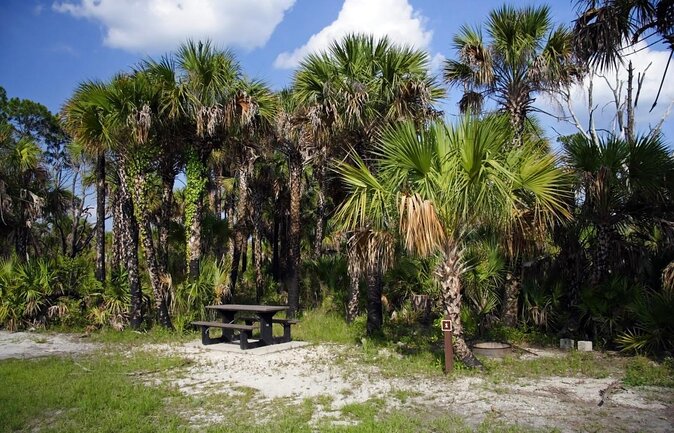 Everglades Guided Kayak Tour - Key Things That Make This Kayak Tour Worth Your Time