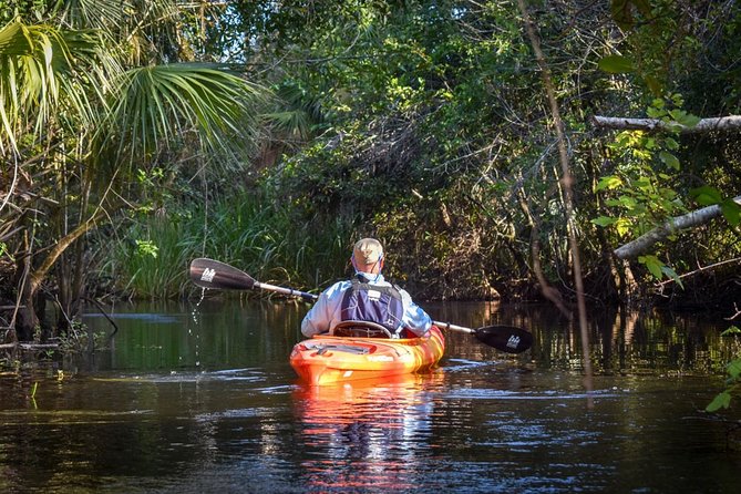 Everglades Guided Kayak Tour - Where You’ll Paddle: Big Cypress Mangrove Tunnels Near Naples