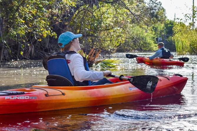 Everglades Guided Kayak Tour - What to Pack: Bugs, Weather, and the Stuff People Wish They’d Brought