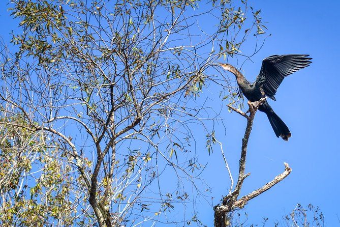 Everglades Guided Kayak Tour - Getting There and Making It a Bigger Naples-Everglades Day