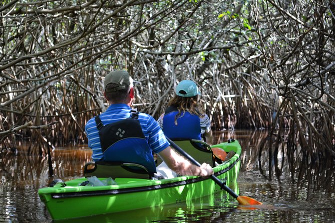 Everglades Kayak Safari Adventure Through Mangrove Tunnels - A 4-hour kayak safari that starts in the right place