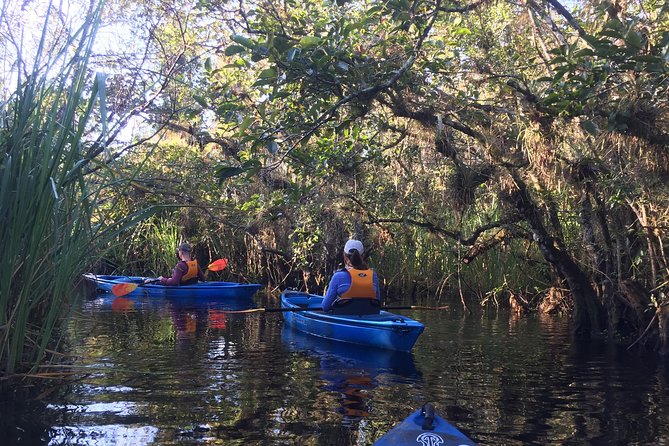 Everglades Kayak Safari Adventure Through Mangrove Tunnels - What’s included keeps your hands free for the fun