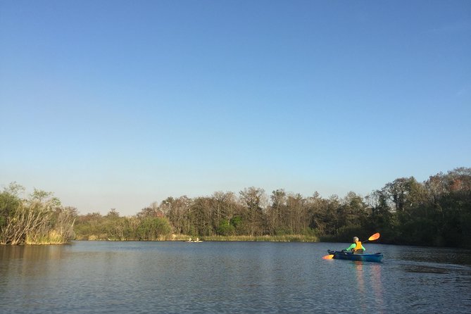 Everglades Kayak Safari Adventure Through Mangrove Tunnels - Price and value: why $89 can feel fair (or not)