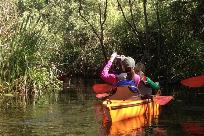 Everglades Kayak Safari Adventure Through Mangrove Tunnels - The mangrove tunnels on this route are the reason to go