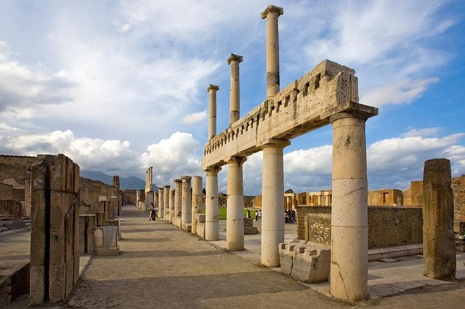 Explore Pompeii Half Day Highlights Tour with Pickup from Naples - Naples pickup to Pompeii fast-track entry: where the value shows