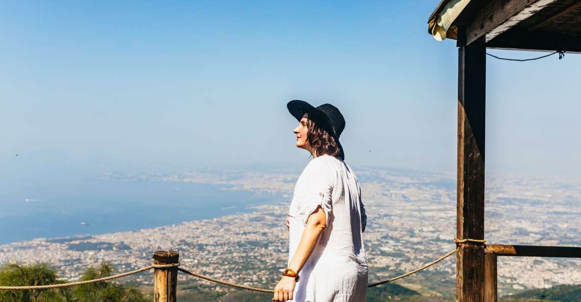 From Naples: All-Inclusive Mount Vesuvius Half-Day Tour - Mount Vesuvius in half a day: what you’re really buying