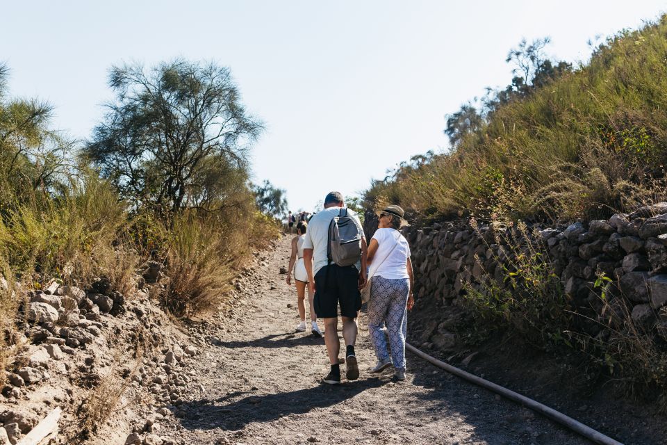 From Naples: All-Inclusive Mount Vesuvius Half-Day Tour - Price and value: is $75 a bargain or a splurge?