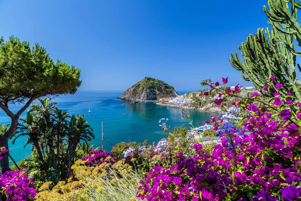 From Naples: Amalfi Coast Day Trip with Sorrento & Positano - Positano in One Hour: The Vertical Town and the Viewpoint Game