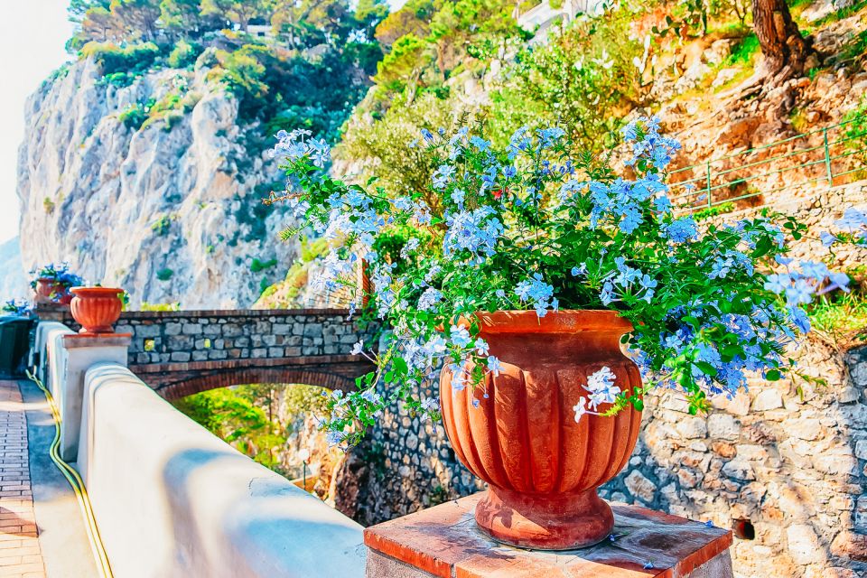 From Naples: Capri and Blue Grotto Day Tour - Blue Grotto Timing and the Weather Plan