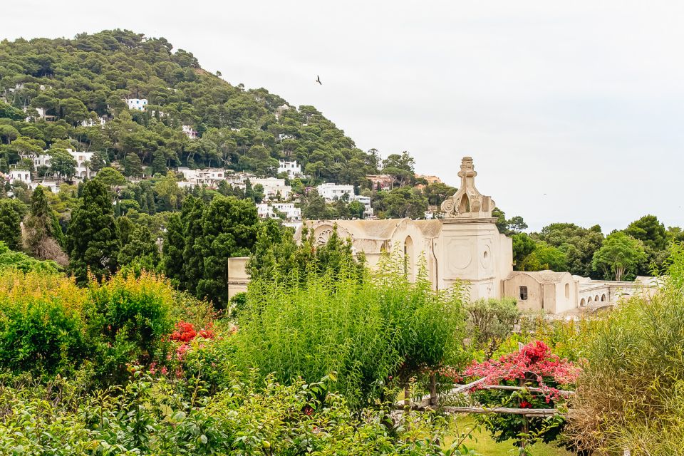 From Naples: Capri and Blue Grotto Day Tour - Price and Value: Is This $173-Plus Capri Day Trip Worth It?