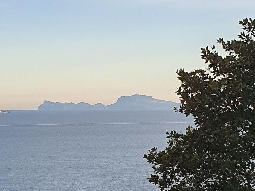 From Naples: Capri Day Trip with Lunch - Hydrofoil to Capri: fast crossing that protects your sightseeing time