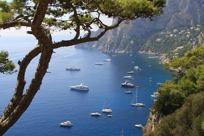 From Naples: Full-Day Capri Island and Blue Grotto Tour - Price and what $224.30 really covers
