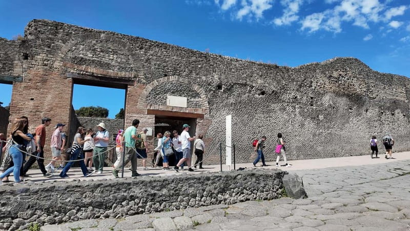 From Naples: Guided tour of Pompeii skip-the-line and round-trip train - Transport comfort: the train ride can be the hardest part of the day