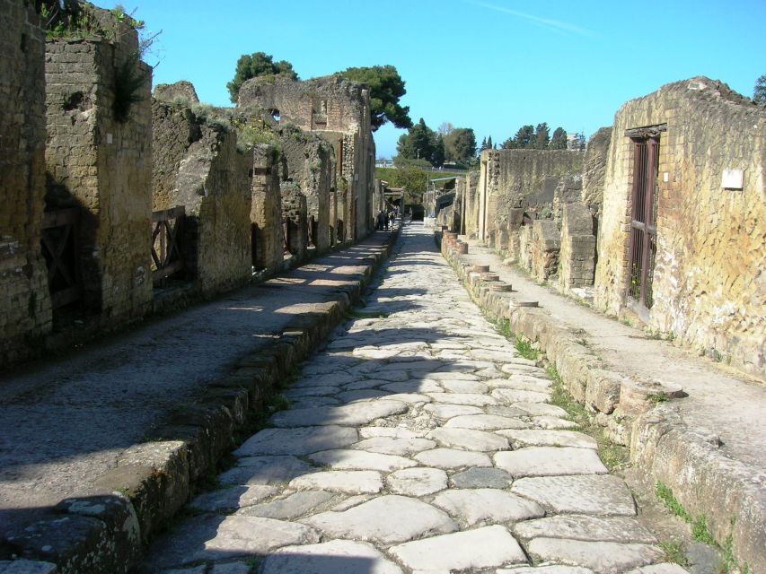 From Naples: Herculaneum Skip-the-Line Guided Tour - Who should book this, and who should skip it
