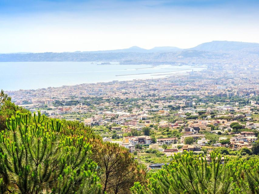 From Naples: Mount Vesuvius Transfer with Entry Tickets - Key things that make this Vesuvius trip work